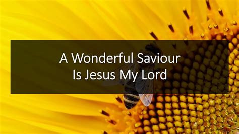 a wonderful savior is jesus.